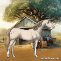 Horse Color:Perlino Dun 