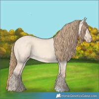 Horse Color:Perlino Dun 
