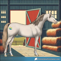 Horse Color:Smoky Creme Dun 