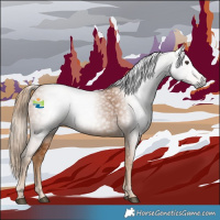 Horse Color:Gray Chestnut 