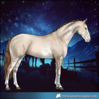 Horse Color:White Spotted Liver Red Dun Pearl