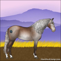 Horse Color:Gray Silver Black Pearl Tobiano 