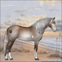 Horse Color:Gray Silver Black Pearl Tobiano 