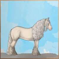 Horse Color:Cremello Dun 