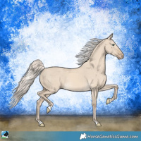Horse Color:Cremello Dun 