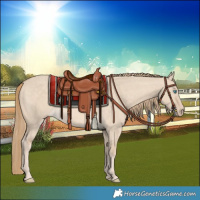 Horse Color:Perlino Dun 