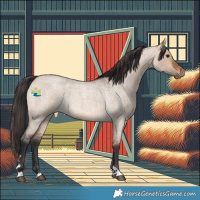 Horse Color:Bay Roan Dun 