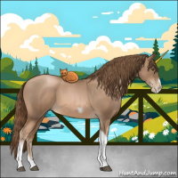 Horse Color:Liver Red Roan Pearl Tobiano Frame