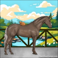 Horse Color:Silver Black 