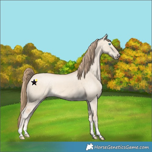 Horse Color:Perlino Dun 