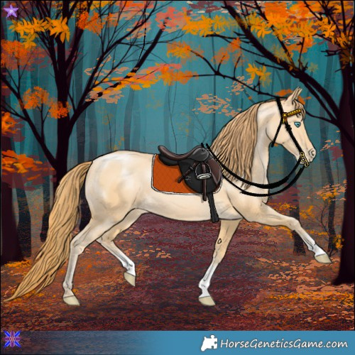 Horse Color:Buckskin Pearl Sabino