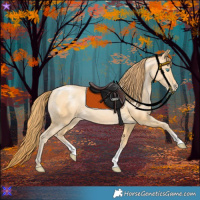 Horse Color:Buckskin Pearl Sabino 