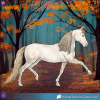 Horse Color:Buckskin Pearl Sabino 