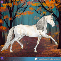 Horse Color:Palomino Pearl Sabino 