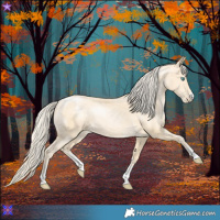 Horse Color:Palomino Pearl Sabino 