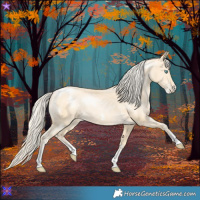 Horse Color:Palomino Pearl Sabino 