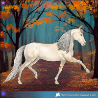 Horse Color:Palomino Pearl Sabino