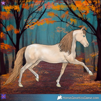 Horse Color:Buckskin Pearl Sabino 