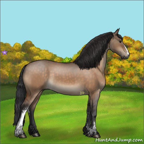 Horse Color:White Spotted Brown Dun 