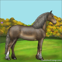 Horse Color:White Spotted Chocolate Palomino 