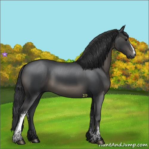 Horse Color:White Spotted Black