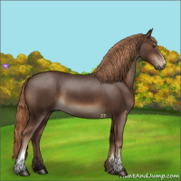 Horse Color:White Spotted Liver Chestnut 