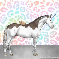 Horse Color:Silver Black Splash 