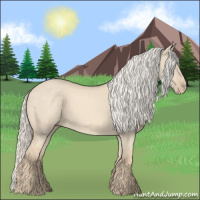 Horse Color:Cremello Dun 