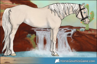 Horse Color:Cremello Dun 