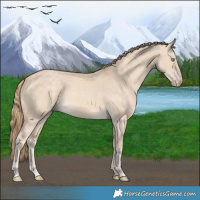Horse Color:Perlino Dun 