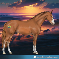 Horse Color:Chestnut 