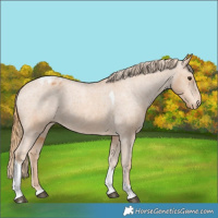 Horse Color:Chestnut Tobiano Varnish 