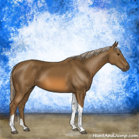 Horse Color:Chocolate Palomino Tobiano 