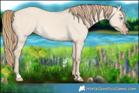 Horse Color:Perlino Dun