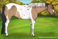 Horse Color:Brown Dun Tobiano Rabicano 