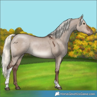 Horse Color:White Spotted Liver Red Dun Mushroom Tobiano 