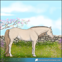 Horse Color:Perlino Dun