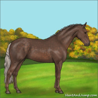 Horse Color:Silver Black 