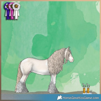 Horse Color:Perlino Dun Tobiano Appaloosa