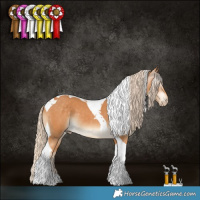 Horse Color:Gray Cremello Tobiano 