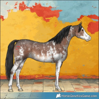 Horse Color:Liver Chestnut Sabino