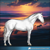 Horse Color:Liver Red Dun Appaloosa Brindle 