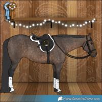 Horse Color:Brown Dun Brindle 