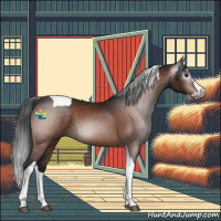 Horse Color:Gray Bay Splash Tobiano 