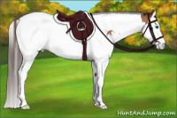 Horse Color:Buckskin Roan Splash Tobiano Appaloosa Rabicano