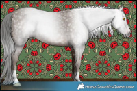 Horse Color:Gray Sable Champagne Rabicano