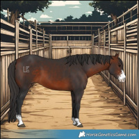 Horse Color:Bay Sabino 