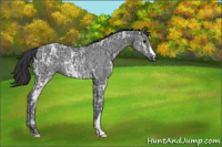 Horse Color:Black Ice Rabicano 