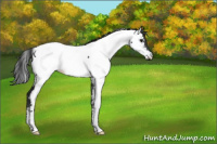 Horse Color:Black Fewspot 