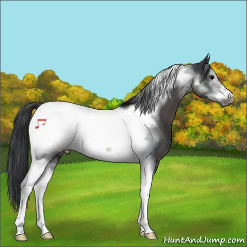 Horse Color:Black Sabino Tobiano Frame 